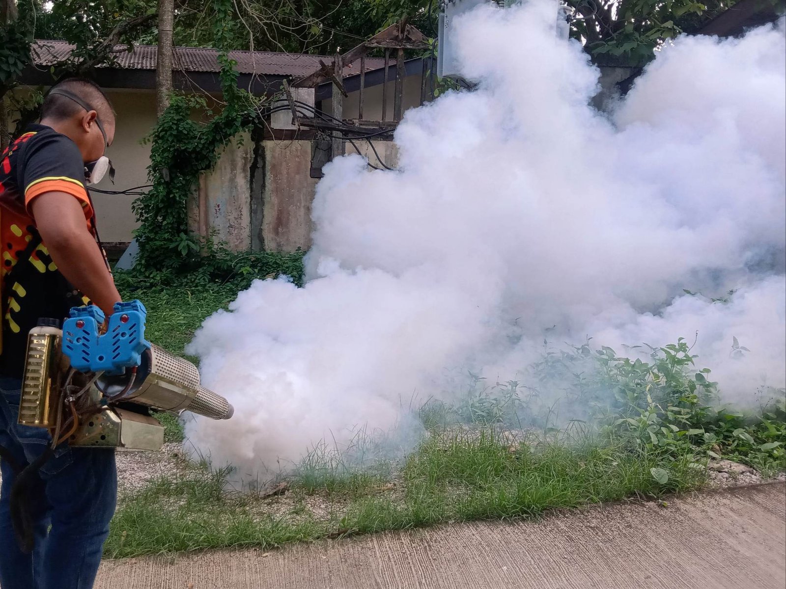 Technician using a fogging machine outdoors to control mosquitoes near buildings and vegetation