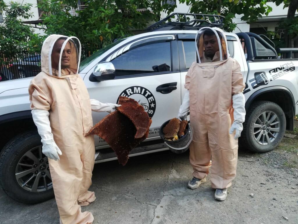 bee control