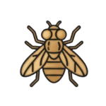 housefly icon