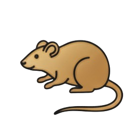 rat icon